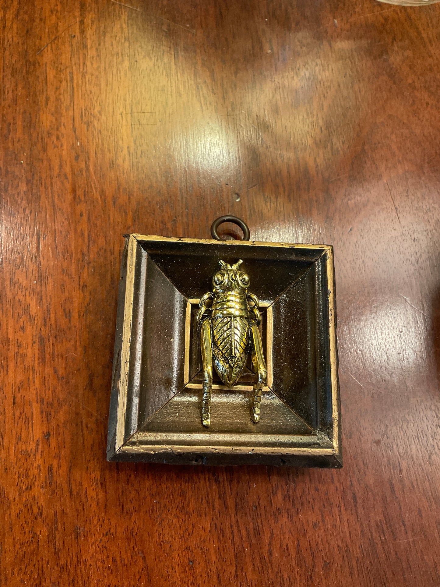 Museum Bees