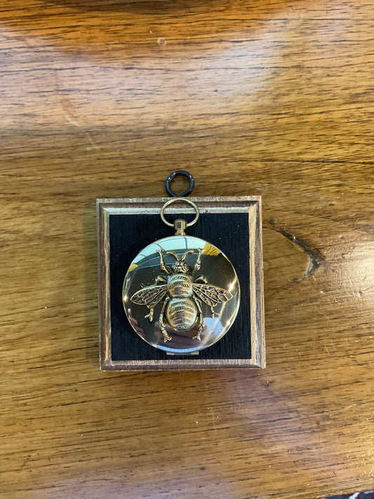 Museum bees